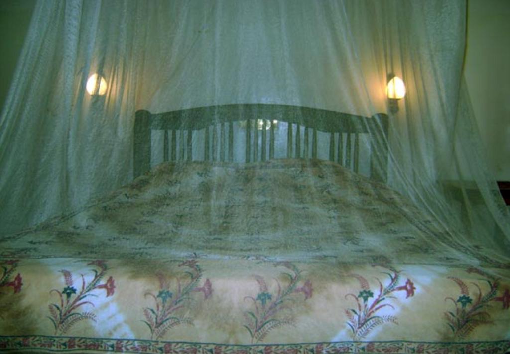 Palm Garden Home Stay Deiyannewela Стая снимка